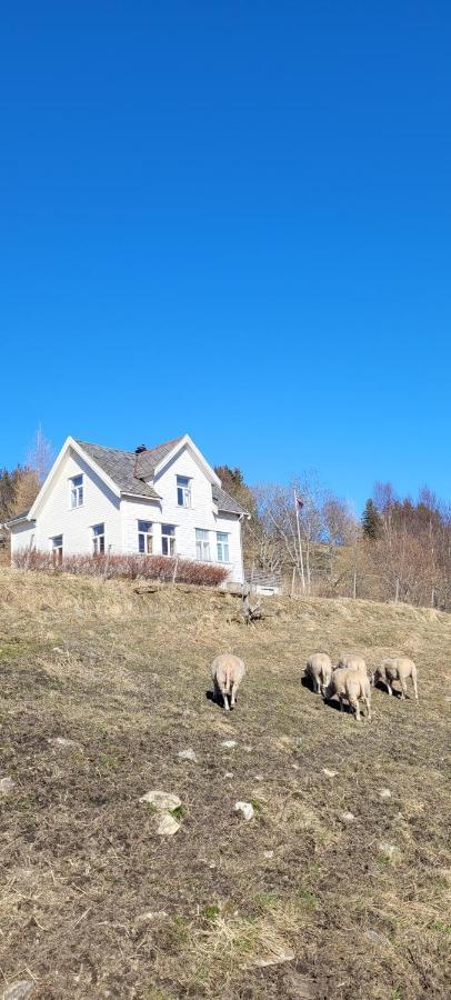 Skogan Apartment Leirfjord Exterior photo
